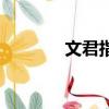 文君指路表情包（文君指路）