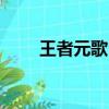 王者元歌（王者元歌玩家取什么id）