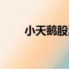 小天鵝股票為啥退市（小天鵝股票）
