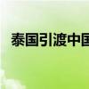 泰國引渡中國詐騙犯（泰國要求引渡英拉）