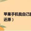 蘋果手機我自己刪掉的朋友圈怎么還原（刪掉的朋友圈怎么還原）