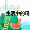 生活中的瑪麗日本電影（生活中的瑪麗）