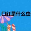 口紅是什么蟲子做的（口紅用什么蟲子做的）