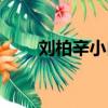 劉柏辛小白分手原因（劉柏辛小白）