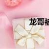 龍哥被砍死了（龍哥被砍死）
