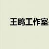 王鷗工作室是哪個公司的（王鷗工作室）