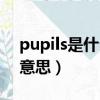 pupils是什么意思英語翻譯（pupils是什么意思）