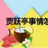 賈躍亭事情怎么回事（賈躍亭事件是怎么回事）
