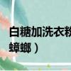 白糖加洗衣粉有什么作用嗎（白糖加洗衣粉治蟑螂）