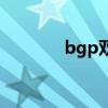 bgp雙線服務器（bgp雙線）