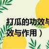 打瓜的功效與作用禁忌糖尿病能吃（打瓜的功效與作用）