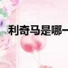利奇馬是哪一年的（利奇馬是哪個國家的）