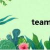 team是什么意思（teams）