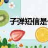 子彈短信是什么（子彈短信是用流量嗎）