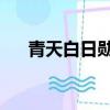 青天白日勛章 東北軍（青天白日勛章）