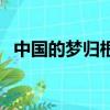 中國的夢歸根到底是（中國夢是什么意思）
