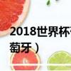2018世界杯葡萄牙vs烏拉圭（2018世界杯葡萄牙）