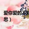 愛你愛的不知所措什么意思（不知所措什么意思）