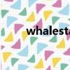 whalestats介紹（whales怎么讀）