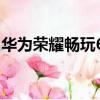 華為榮耀暢玩6a刷機包（榮耀暢玩6a多少錢）