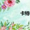 卡特葉有何藥用（卡特葉）