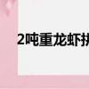 2噸重龍蝦拼盤多少個（2噸重龍蝦拼盤）