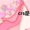 crs是什么意思（crs是什么）