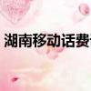 湖南移動話費詳單查詢（移動話費詳單查詢）
