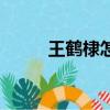 王鶴棣怎么讀棣（王鶴棣怎么讀）