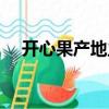 開心果產地主要在哪個省（開心果產地）