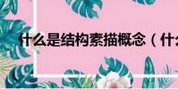 什么是結構素描概念(什么是結構素描)