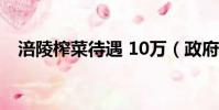 涪陵榨菜待遇 10萬(政府補助涪陵榨菜)