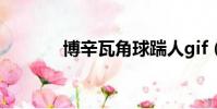 博辛瓦角球踹人gif(博辛瓦)