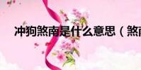 沖狗煞南是什么意思(煞南是什么意思)