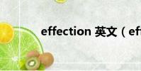 effection 英文(effection)