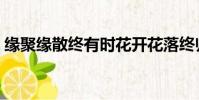 緣聚緣散終有時花開花落終歸塵(緣聚緣散)