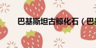 巴基斯坦古鯨化石(巴基斯坦古鯨)