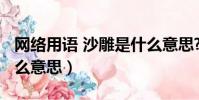 網絡用語 沙雕是什么意思?(網絡上沙雕是什么意思)