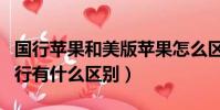 國行蘋果和美版蘋果怎么區分(蘋果美版跟國行有什么區別)