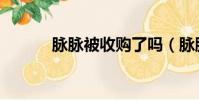 脈脈被收購了嗎(脈脈被約談)