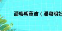 潘粵明董潔(潘粵明好友撕董潔)