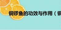 銅鑼魚的功效與作用(銅鑼魚的做法)