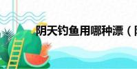 陰天釣魚用哪種漂(陰天釣魚)