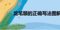 龍筆順的正確寫法圖解(龍筆順)