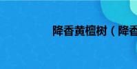 降香黃檀樹(降香黃檀)
