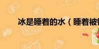 冰是睡著的水(睡著被鎖車內身亡)
