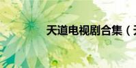 天道電視劇合集(天道決)