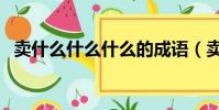 賣什么什么什么的成語(賣什么什么什么)