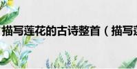 描寫蓮花的古詩整首(描寫蓮花的古詩10首)