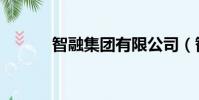 智融集團有限公司(智融集團)
